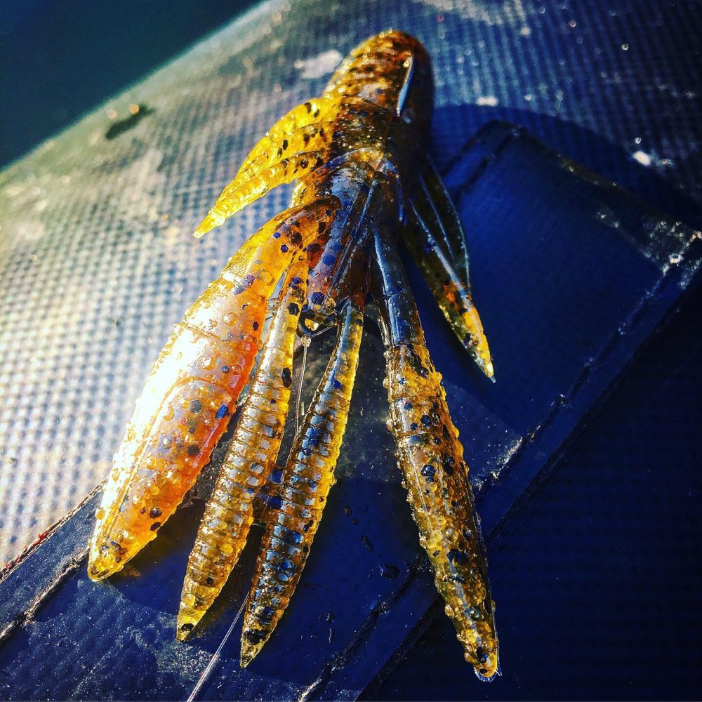 peche craw hameçon texan