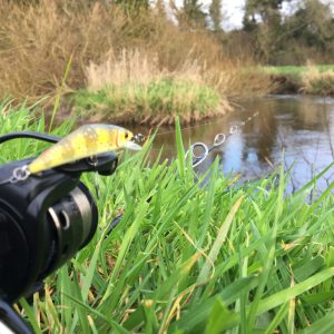 Sortie pêche de la truite aux leurres en rivière à la 1/2 journée