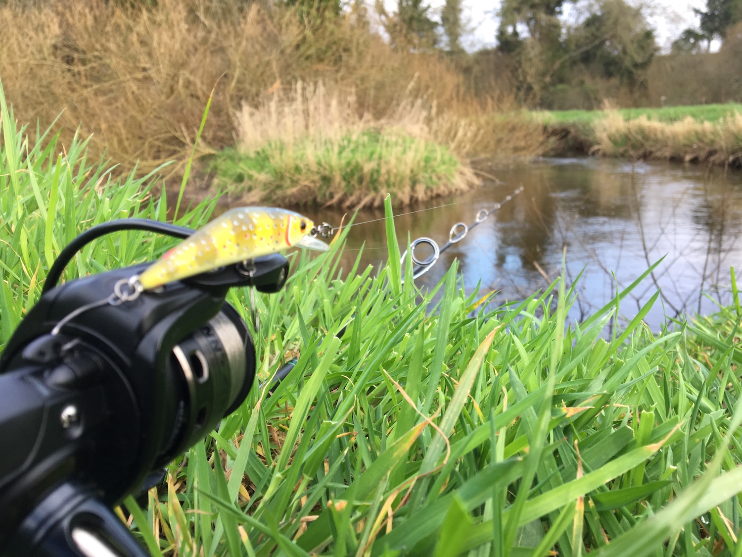 Sortie pêche de la truite aux leurres en rivière à la 1/2 journée