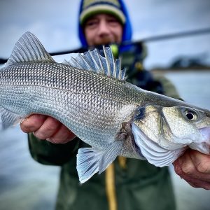 Sortie pêche en mer du bord aux leurres à la journée