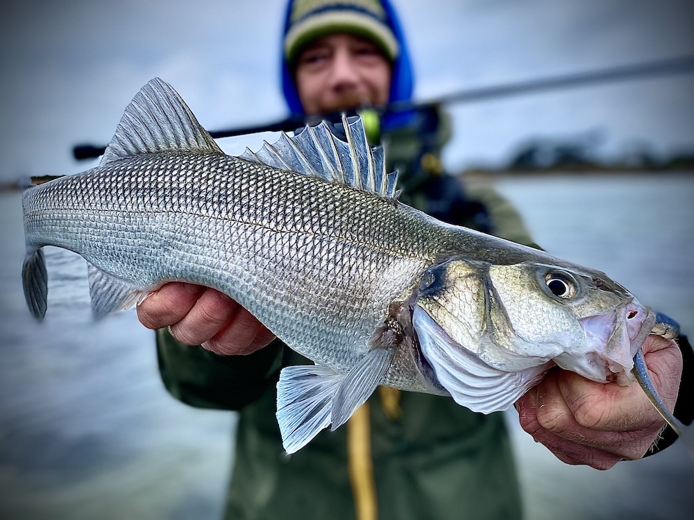 Sortie pêche en mer du bord aux leurres à la journée